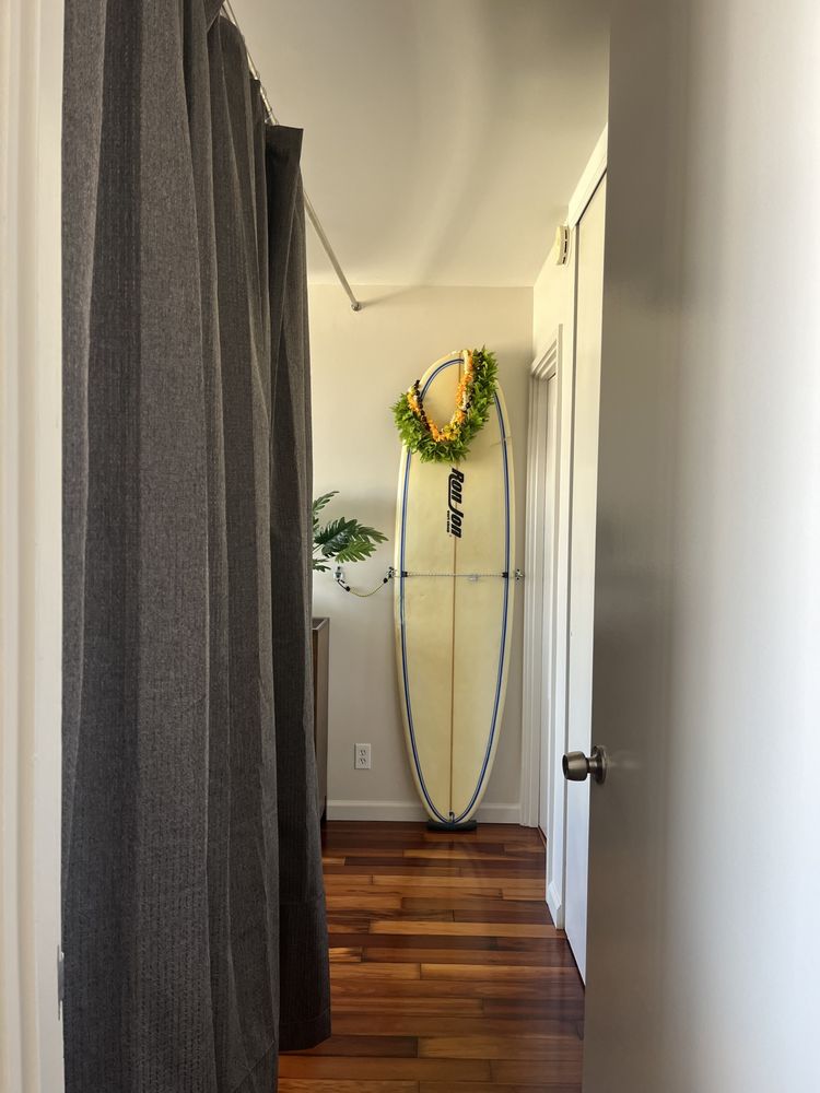 Slide of Hana Ho Painting