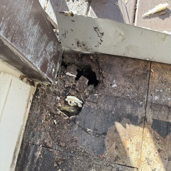 Souza Remodeling - Subfloor damage - General Contractors Near Me Souza Remodeling - Subfloor damage - General Contractors Near Me