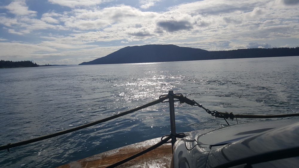 LUMMI ISLAND FERRY TERMINAL Updated September 2024 77 Photos & 13