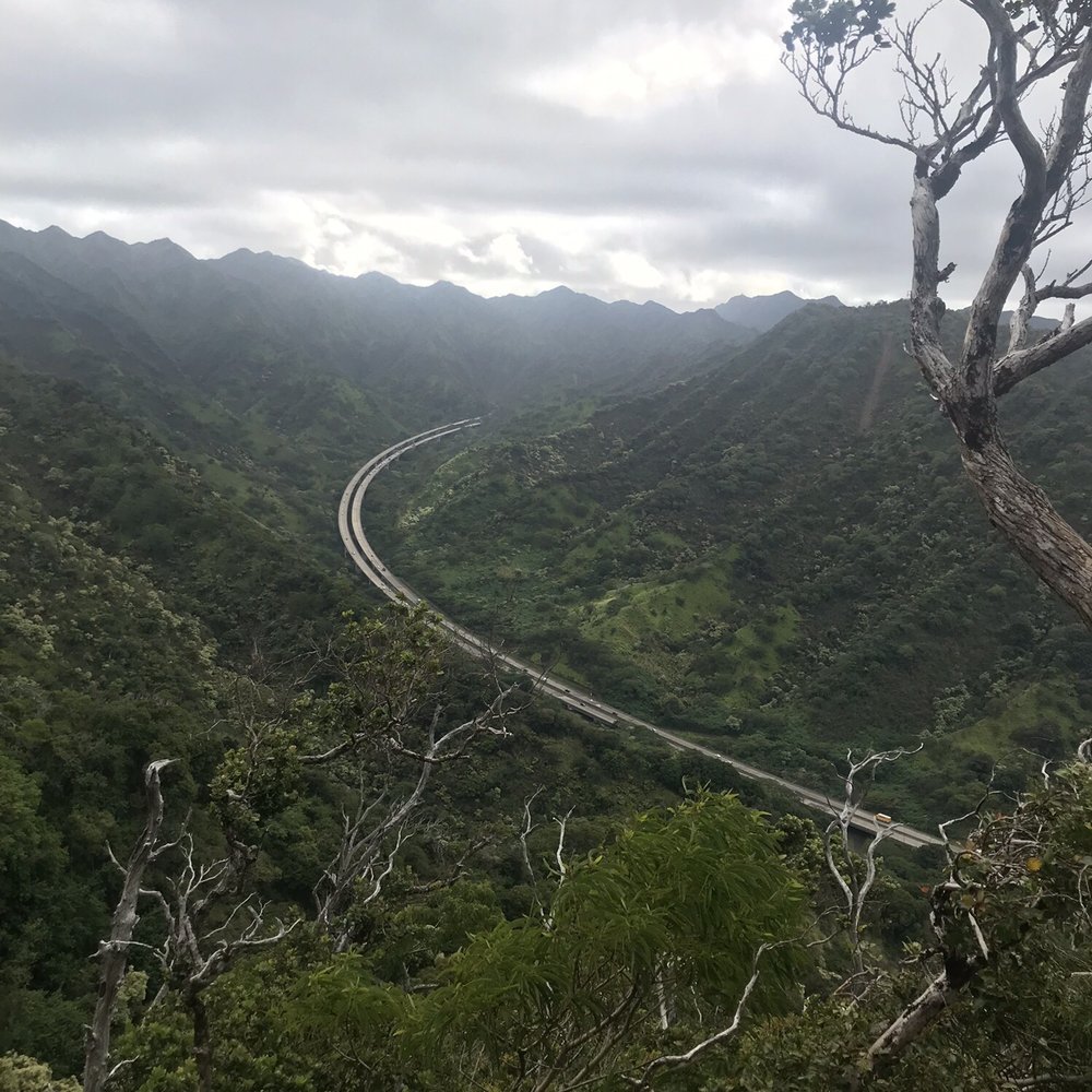 Aiea Loop Trail - Hiking Near Me - Aiea, Hawaii