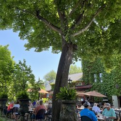 Tin Pan Galley - Patio