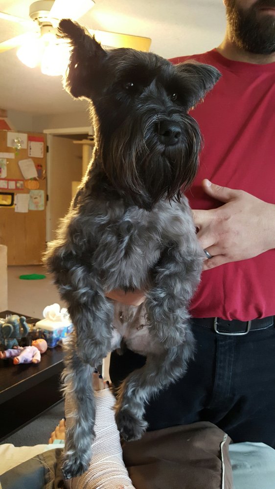 PAWS A WHILE Updated September 2024 10 Reviews 1675 NE Hogan Dr