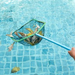 Reed's Pool Service