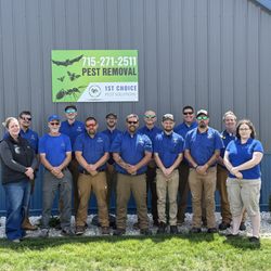 1st Choice Pest Solutions