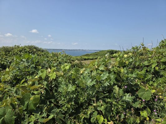 Beavertail State Park by null