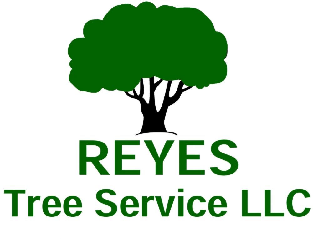 Reyes Tree Service - tree service in Columbus, OH