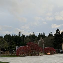 Hierophant Meadery - Beautiful land