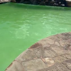 Villas at Bulverde - Green and murky pool while it's still hot outside