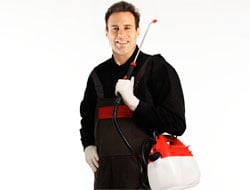 Brooklyn O'Keeffe Pest Management