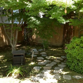 Mike's Evergreen - Before New Plants - Landscaping Near Me - Clovis, California