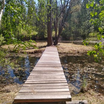 Perry's Landscaping - a wooden bridge over a pond - Landscaping Near Me Perry's Landscaping - a wooden bridge over a pond - Landscaping Near Me