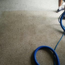 Ben making the carpet look like new