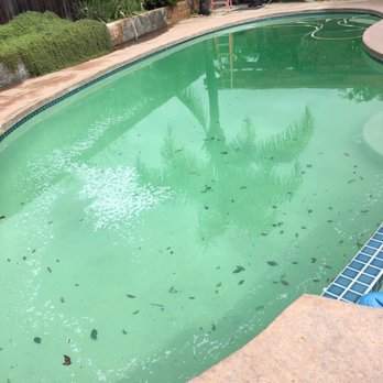 Golden State Pools - Pool Cleaners Near Me - San Diego, California Golden State Pools - Pool Cleaners Near Me - San Diego, California