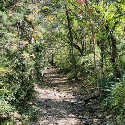 Rest area Kansas - Nice little path and riverbed