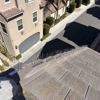 Reinmanpro - Bird spikes - Pressure Washers Near Me - Banning, California Reinmanpro - Bird spikes - Pressure Washers Near Me - Banning, California