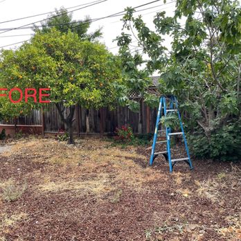 California Turf Supply - Artificial Turf Near Me California Turf Supply - Artificial Turf Near Me