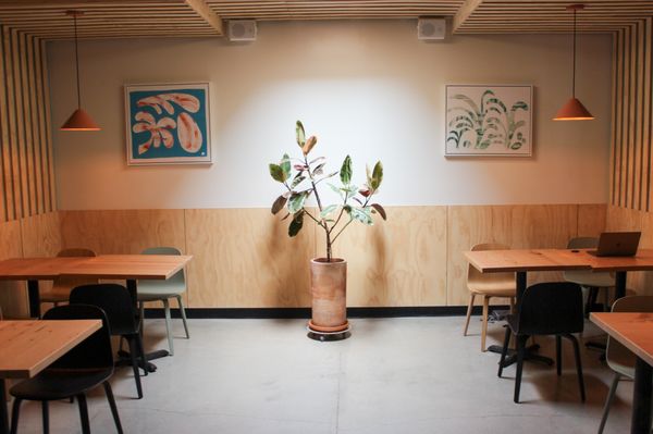 Seabirds Kitchen Los Feliz by null