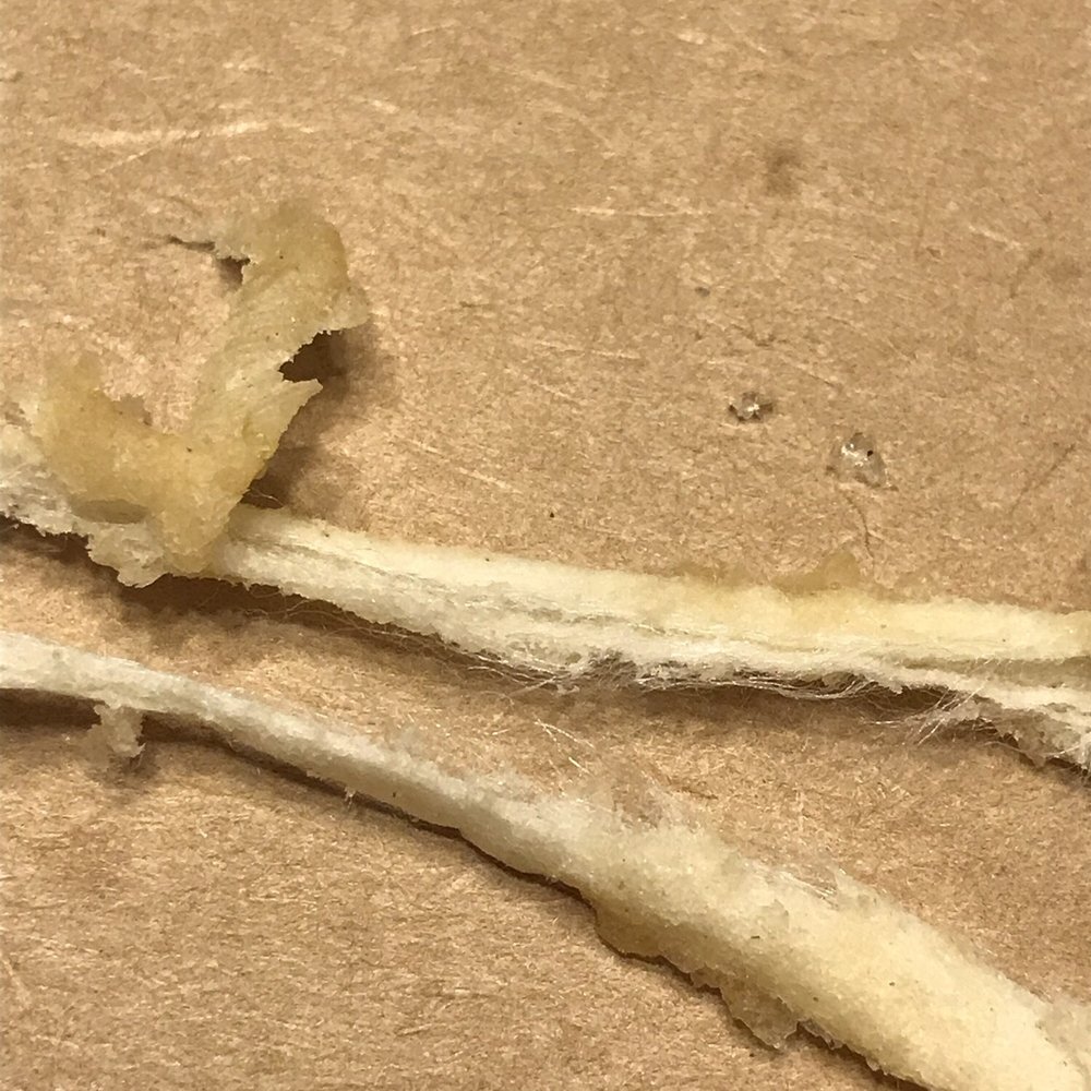 Taco Bell - The pieces of the cloth after I tugged it apart to try and figure out what it was. - Fast Food Near Me - Mukwonago, Wisconsin Taco Bell - The pieces of the cloth after I tugged it apart to try and figure out what it was. - Fast Food Near Me - Mukwonago, Wisconsin