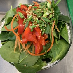 Katery To Go - Asian Cold Noodle Salad