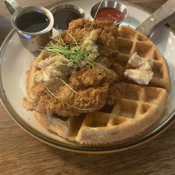 The Root Cellar Cafe - Chicken and Sweet Belgian Waffle - Breakfast & Brunch Near Me - San Marcos, Texas The Root Cellar Cafe - Chicken and Sweet Belgian Waffle - Breakfast & Brunch Near Me - San Marcos, Texas