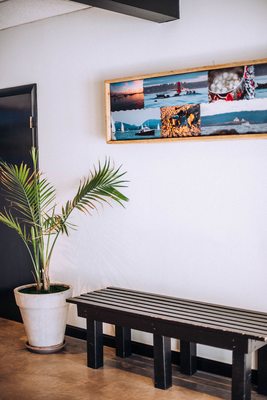 The Nor'Easter Pound & Market by null