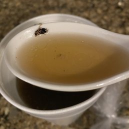 Roach in Pho Roach in Pho