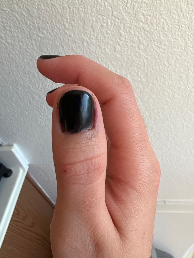 D L NAILS Updated September 2024 16 Photos & 14 Reviews 1102