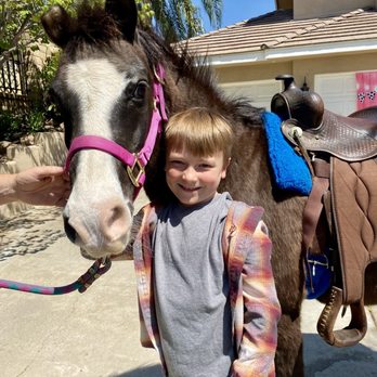Party Ponies And Pets - Kids Activities Near Me - Pinon Hills , California Party Ponies And Pets - Kids Activities Near Me - Pinon Hills , California