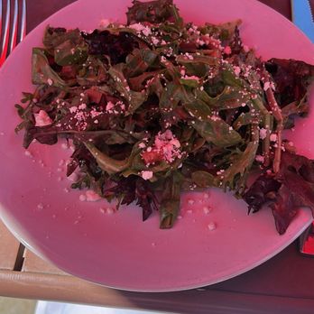 M'tucci's Italian - Salad Pasta & Salad or Soup - A plate of mixed leafy greens salad featuring different types of lettuce and greens, topped with pink crumbles, possibly cheese or seasoning. The salad is served on a pink plate, with a glass of beverage and utensils visible on a pink outdoor table. The setting appears to be an outdoor dining area with natural lighting. - Italian Near Me - Albuquerque, New Mexico