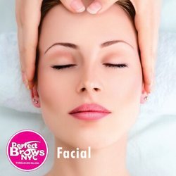 Perfect Brows NYC