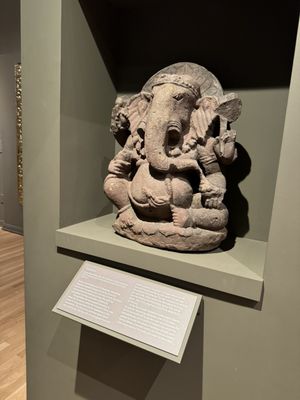 Michael C. Carlos Museum by null