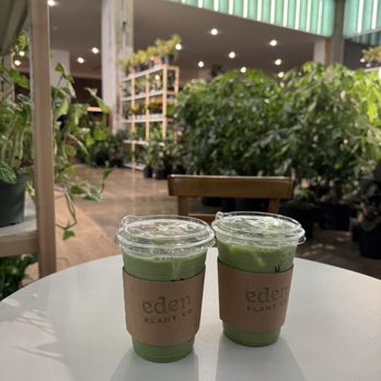 Eden Plant - Nurseries & Gardening Near Me - Houston, Texas
