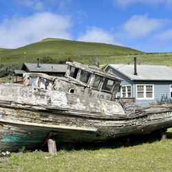 Nick's Cove Cottages - Outside cottage grounds