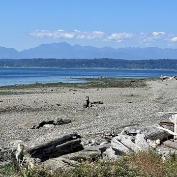 Charles Richey Sr Viewpoint - Parks Near Me - Seattle, Washington