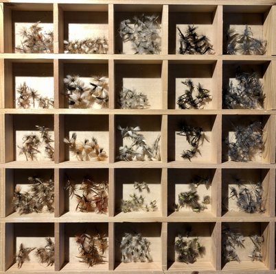 Catskill Outfitters by null