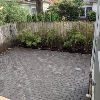Simple Lawns Landscape Design - Privacy bamboo - Landscaping Near Me - Vancouver, Washington Simple Lawns Landscape Design - Privacy bamboo - Landscaping Near Me - Vancouver, Washington