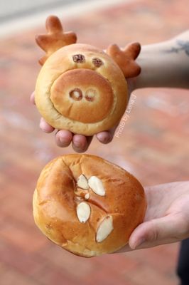 Moose Pastry & Tea by null