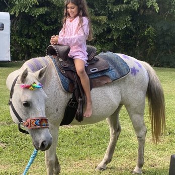 Choyce - The "unicorn" pony - Party Equipment Rentals Near Me Choyce - The "unicorn" pony - Party Equipment Rentals Near Me