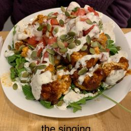 Singing Cowboy