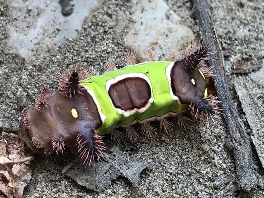 McCormick's Creek State Park by null