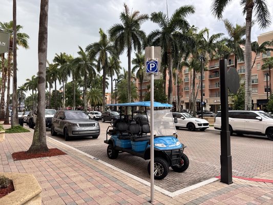 Mizner Park by null
