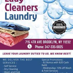 Lady Cleaners Laundry