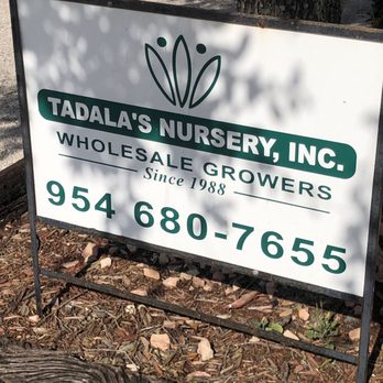 Tadala's Nursery - Nurseries & Gardening Near Me - Southwest Ranches, Florida Tadala's Nursery - Nurseries & Gardening Near Me - Southwest Ranches, Florida