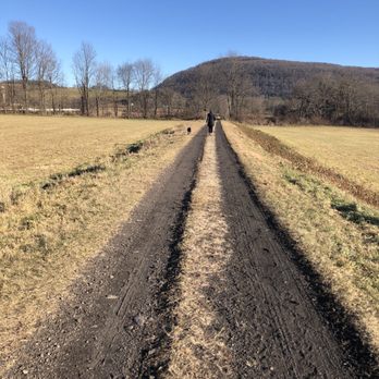 Catskill Scenic Trail - Trail - Hiking Near Me