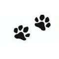 Paws-itively Affordable Pet Care Image
