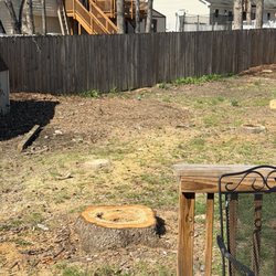 Ricks Integrity Tree Care - The stuff that we're supposed to be ground and never have been