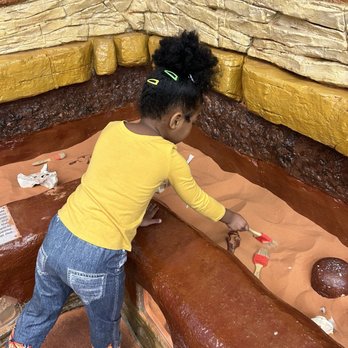 The Children's Museum - Digging for fossils - Children's Museums Near Me - La Habra, California The Children's Museum - Digging for fossils - Children's Museums Near Me - La Habra, California