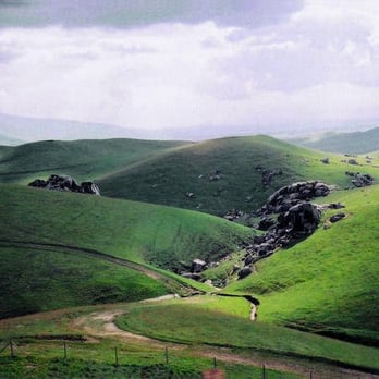 Tehachapi Mountain Park - Drive on the way to Keene (take the back roads on Woodford) - Hiking Near Me - Tehachapi, California