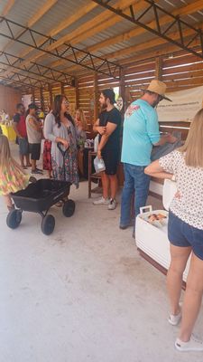 Hobe Sound Farmers Market by null