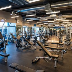 Movement Fitness  - Image of the weightlifting machines and racks at Movement Fitness Las Vegas.